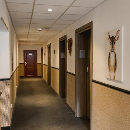 Parkowe Θέρετρο 3*